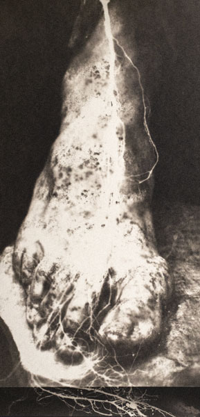 Pascal Mirande Serie Gullivers Les Photographiques