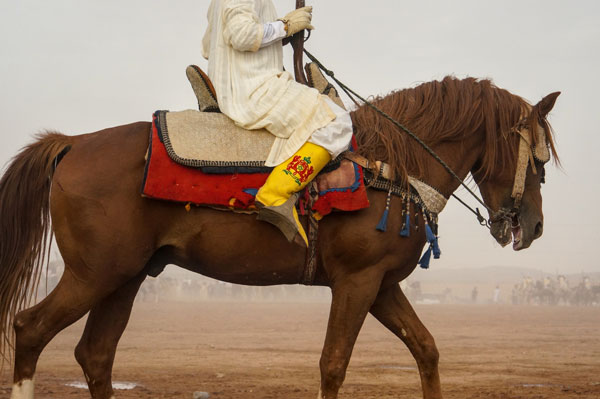 Clement Szczuczynski les photographiques