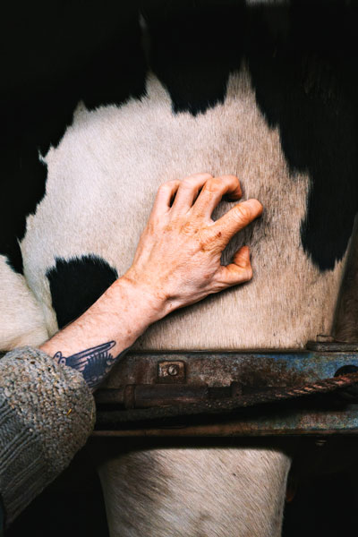 Pierre Gely For Dark LOVE BOAT Les Photographiques