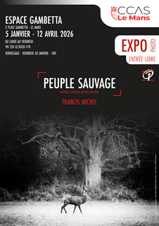 Francois Chauvin les photographiques